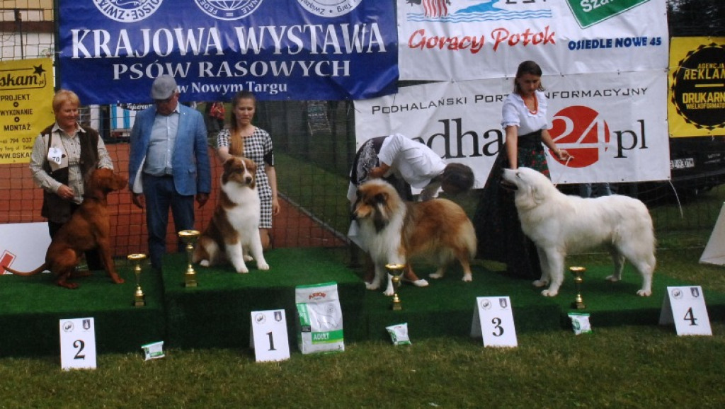 22. Wystawa Psów Rasowych w Nowym Targu