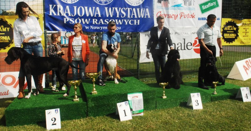 22. Wystawa Psów Rasowych w Nowym Targu