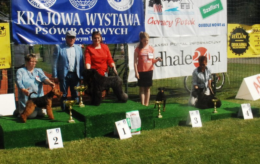 22. Wystawa Psów Rasowych w Nowym Targu