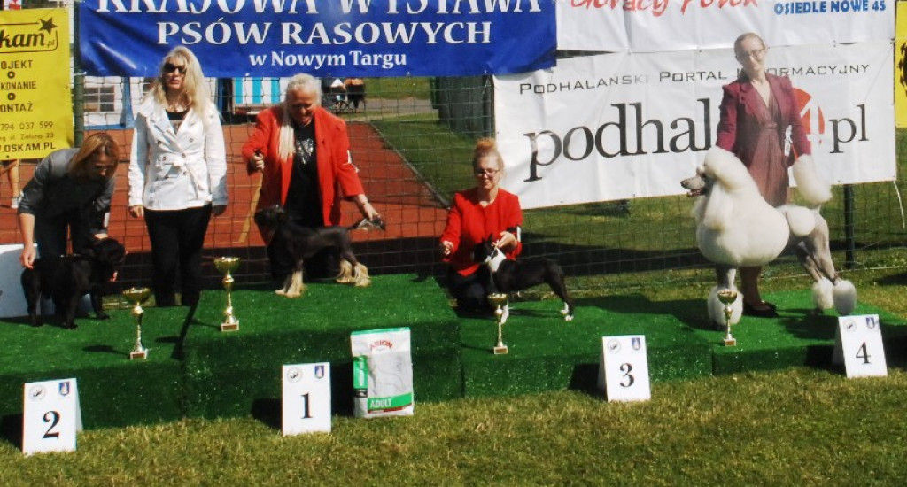 22. Wystawa Psów Rasowych w Nowym Targu
