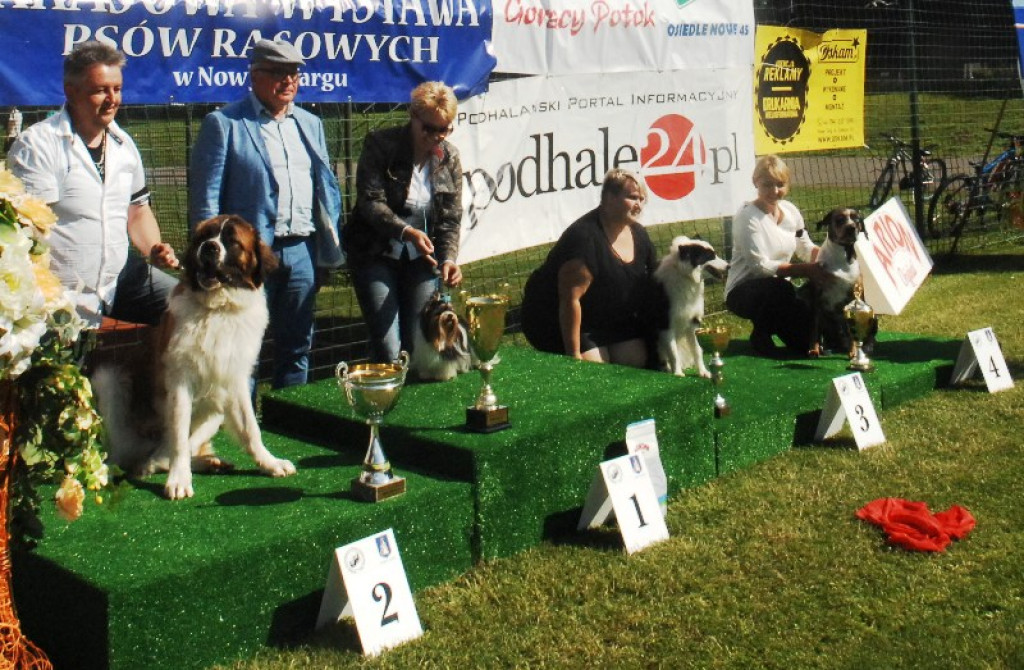 22. Wystawa Psów Rasowych w Nowym Targu