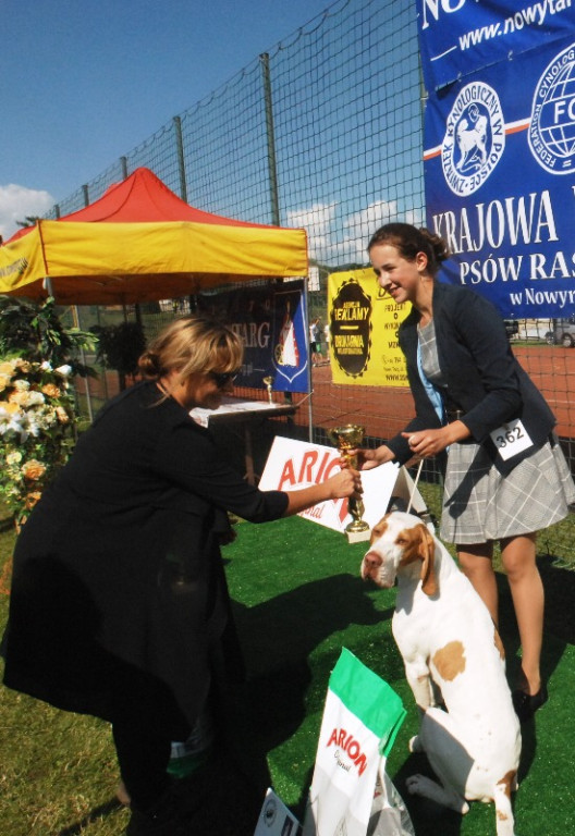 22. Wystawa Psów Rasowych w Nowym Targu