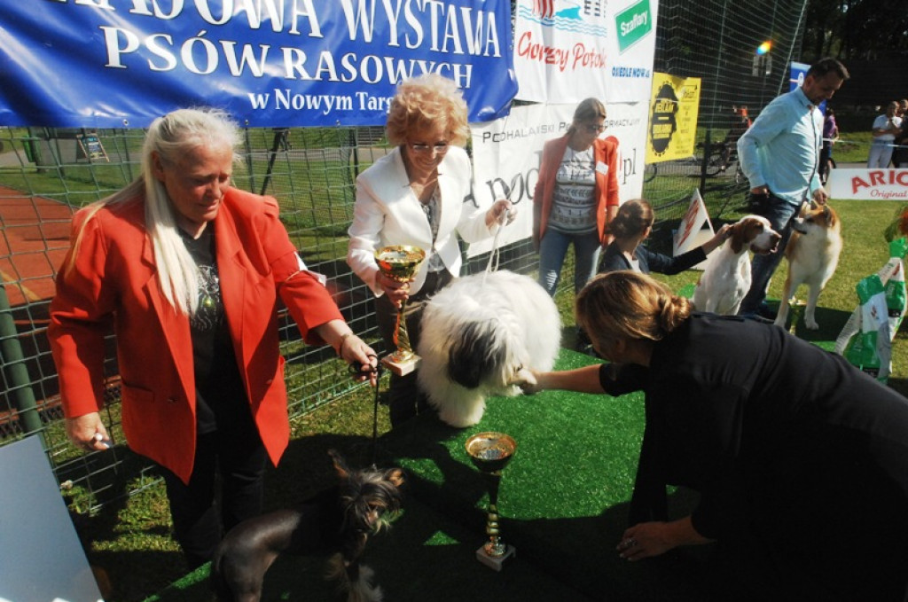 22. Wystawa Psów Rasowych w Nowym Targu