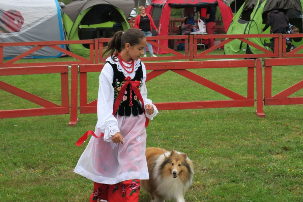 V. Międzynarodowa Wystawa Psów Rasowych