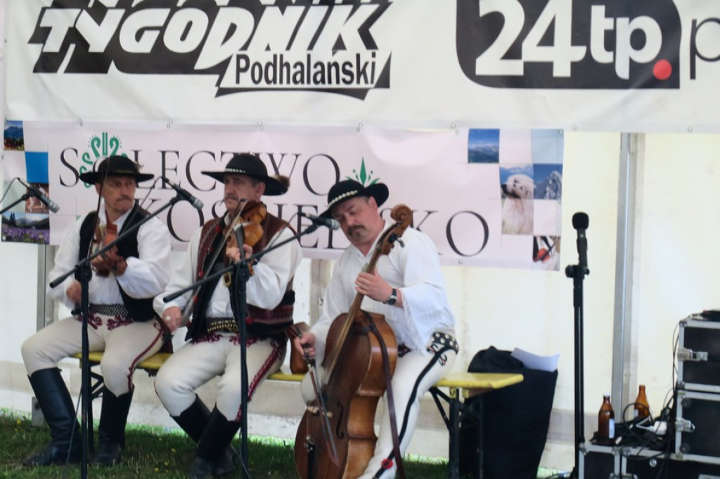 V. Międzynarodowa Wystawa Psów Rasowych