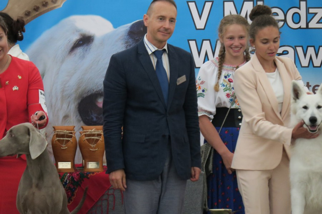 V. Międzynarodowa Wystawa Psów Rasowych