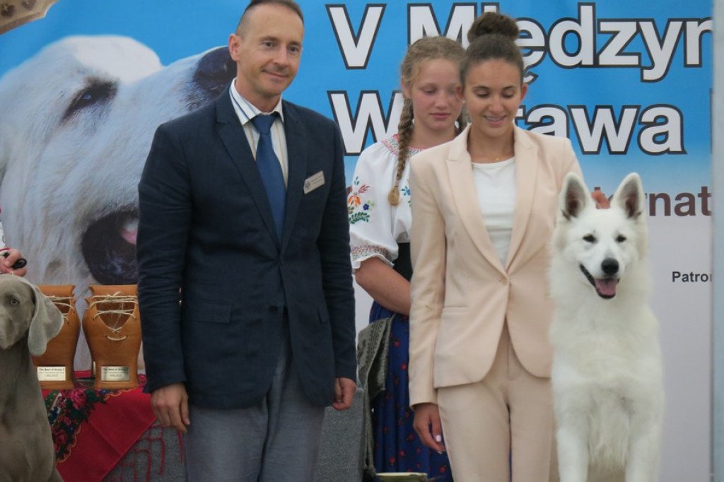 V. Międzynarodowa Wystawa Psów Rasowych