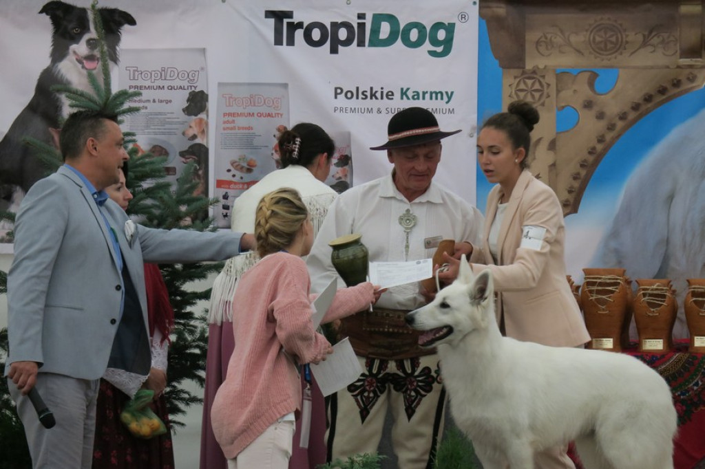 V. Międzynarodowa Wystawa Psów Rasowych