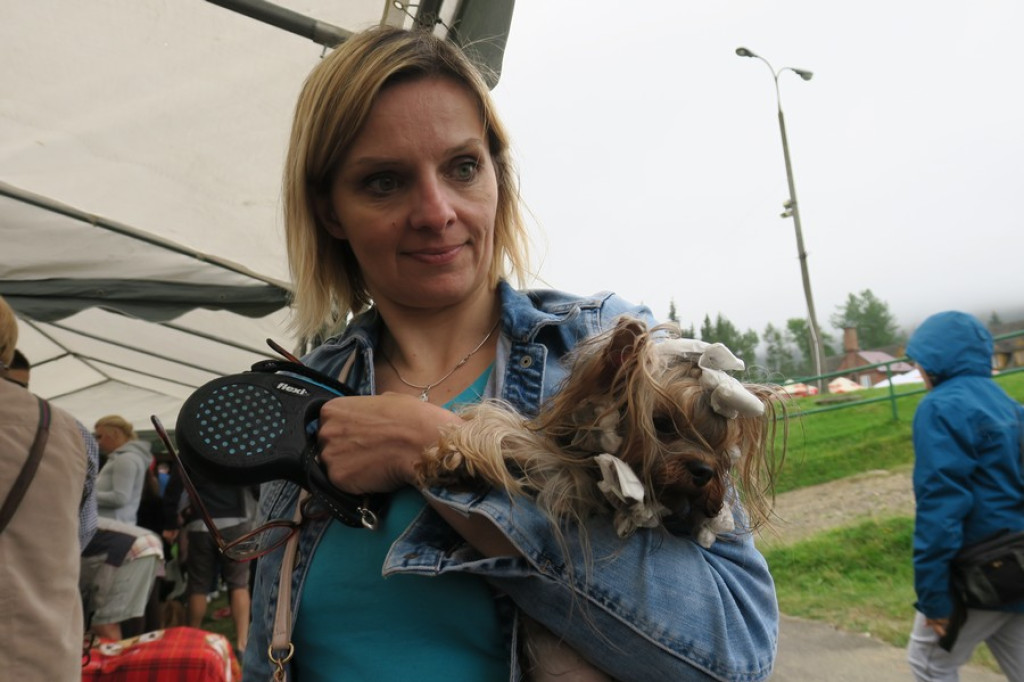 V. Międzynarodowa Wystawa Psów Rasowych