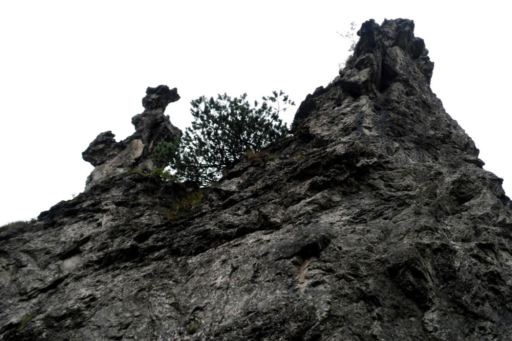 Eksplozja jesiennych barw w Dol. Za Bramką