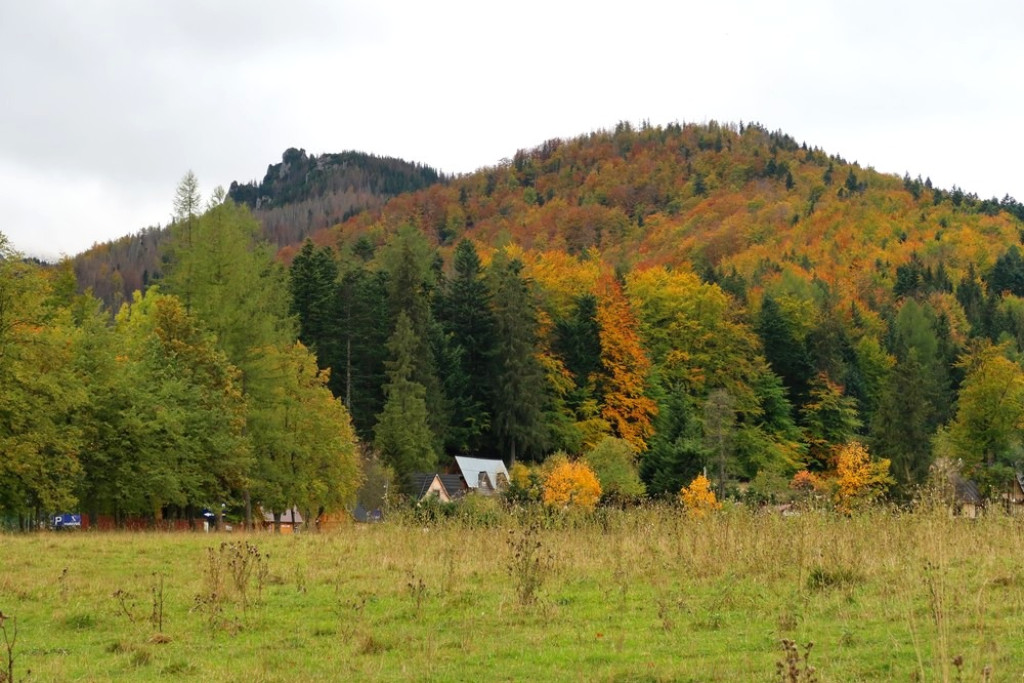 Eksplozja jesiennych barw w Dol. Za Bramką