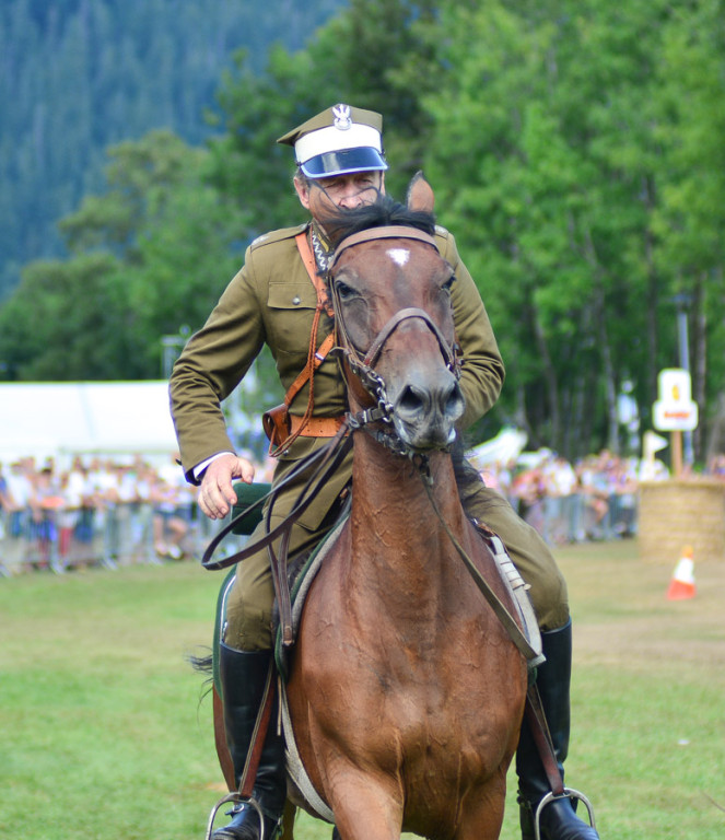 Na początek festiwalu zawody w powożeniu