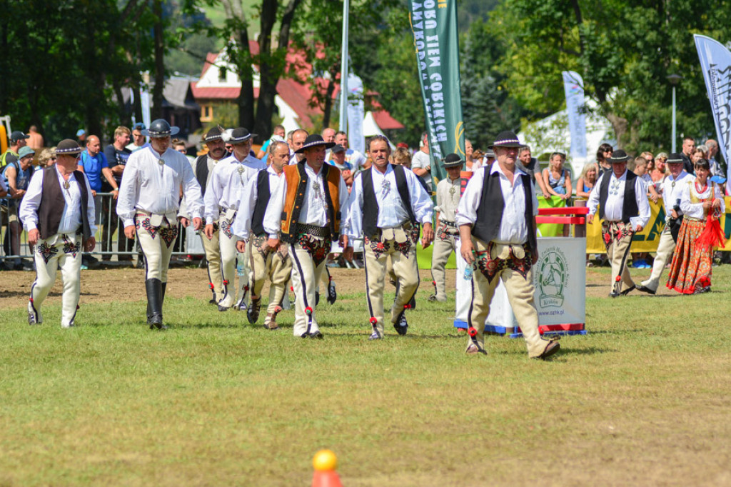 Na początek festiwalu zawody w powożeniu