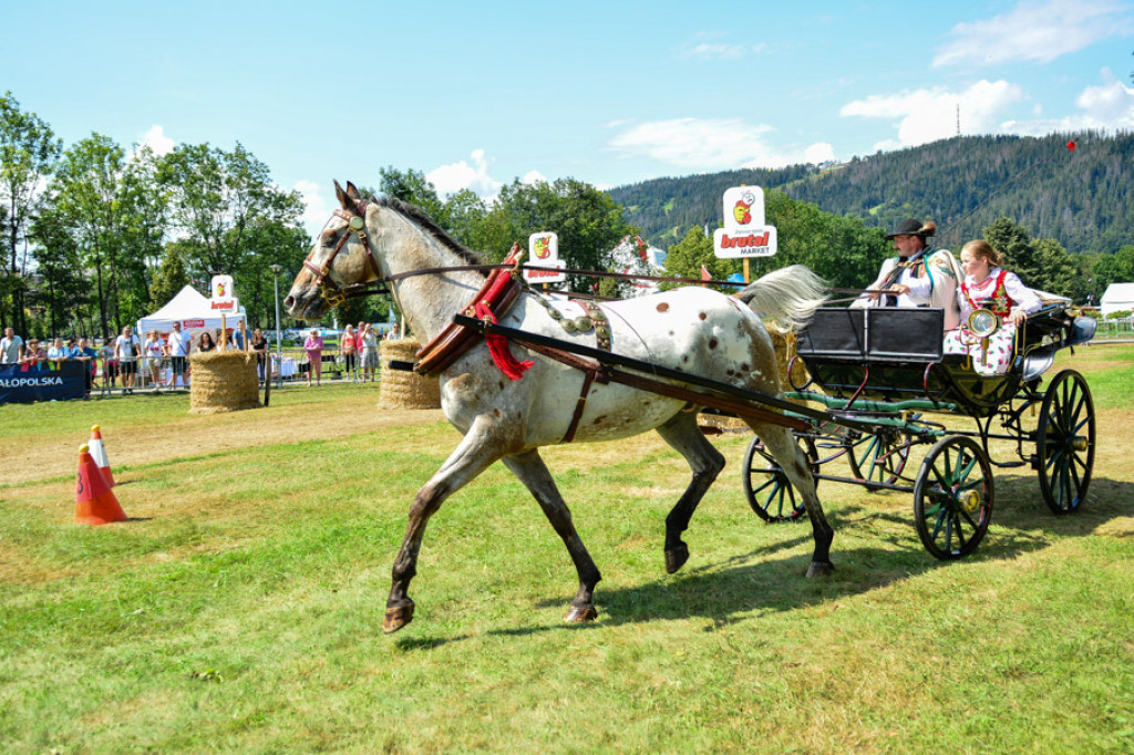 Na początek festiwalu zawody w powożeniu