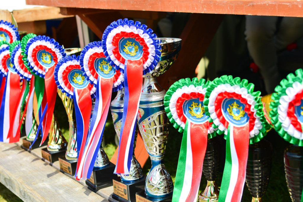 Na początek festiwalu zawody w powożeniu