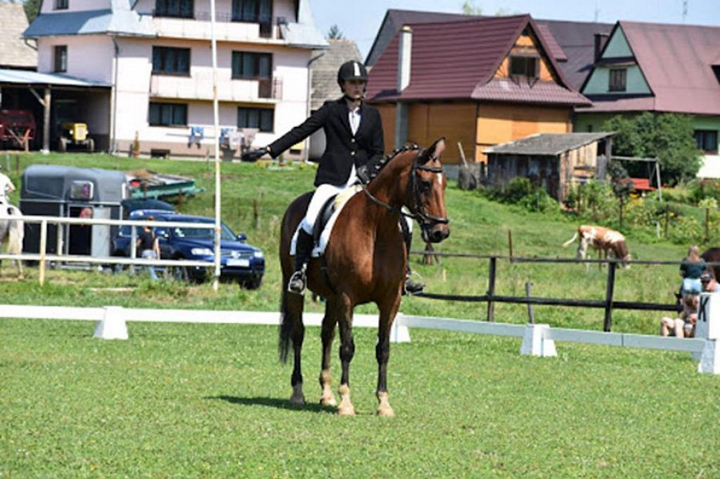 Zawody jeździeckie, dożynki i festyn