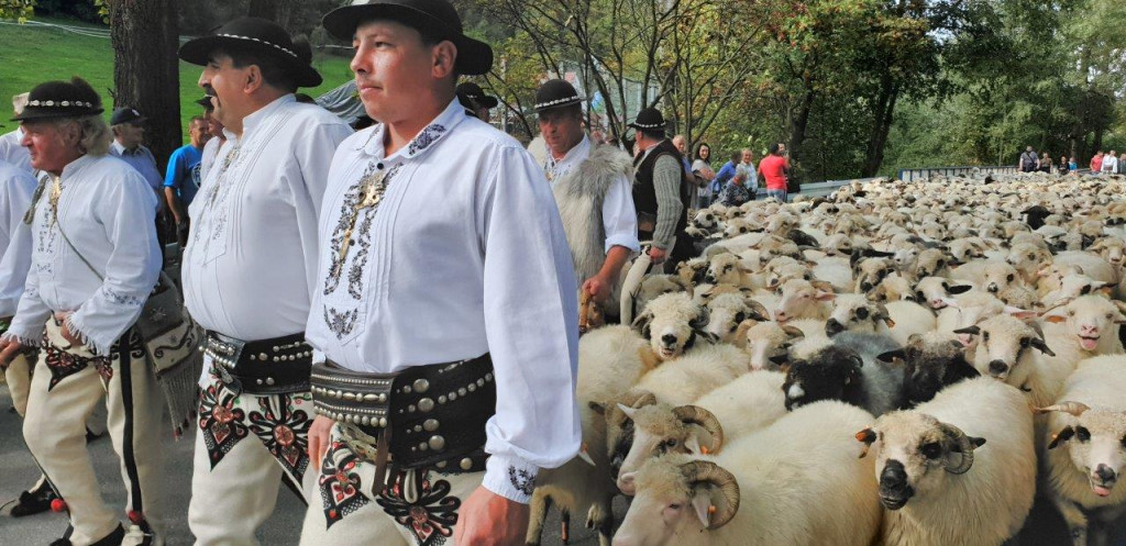 Bacowski Festyn w Leśnicy