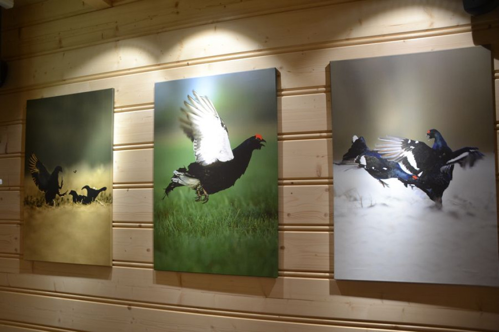 Muzeum torfowisk już otwarte