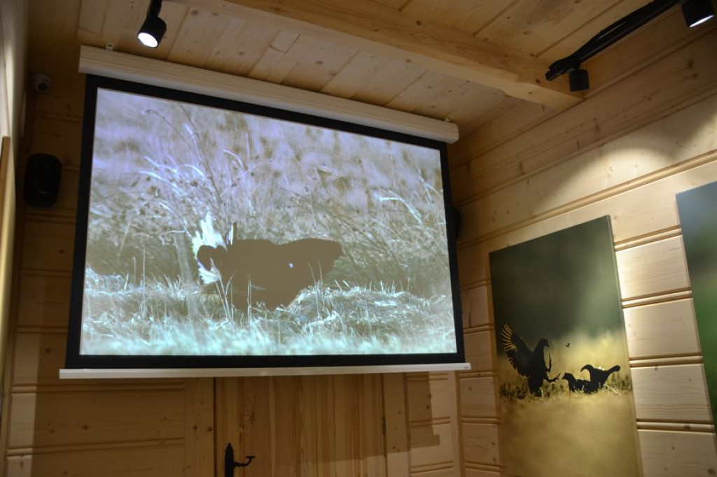 Muzeum torfowisk już otwarte