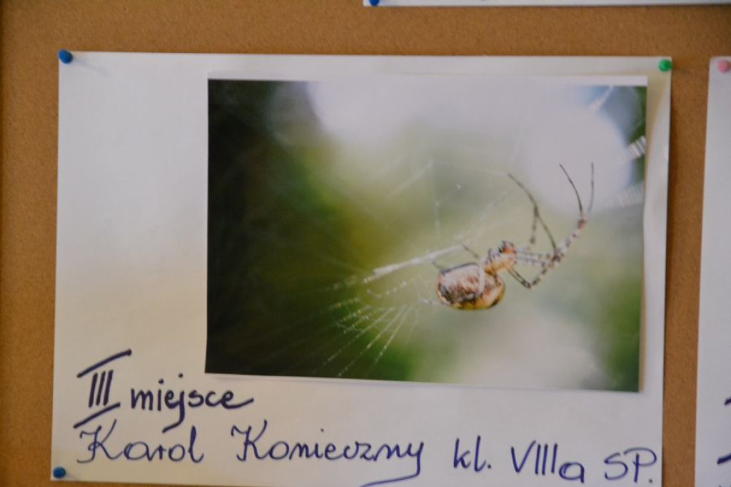Niepodległość w oczach dzieci