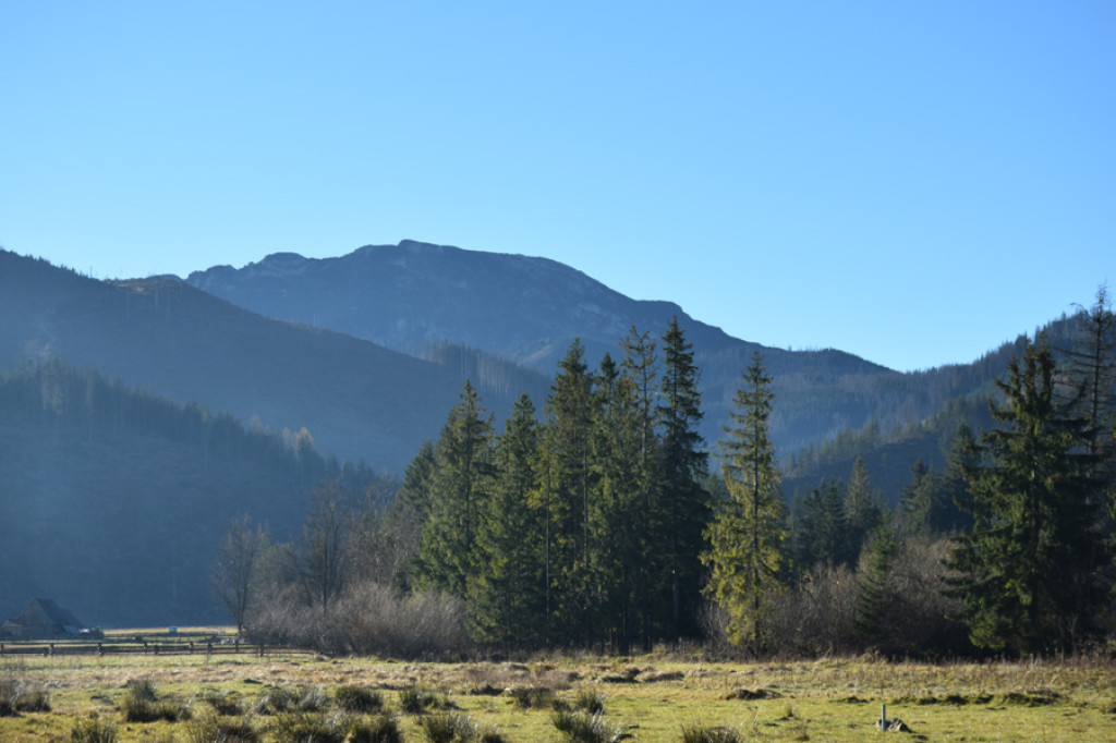 Poranne widoki na Tatry