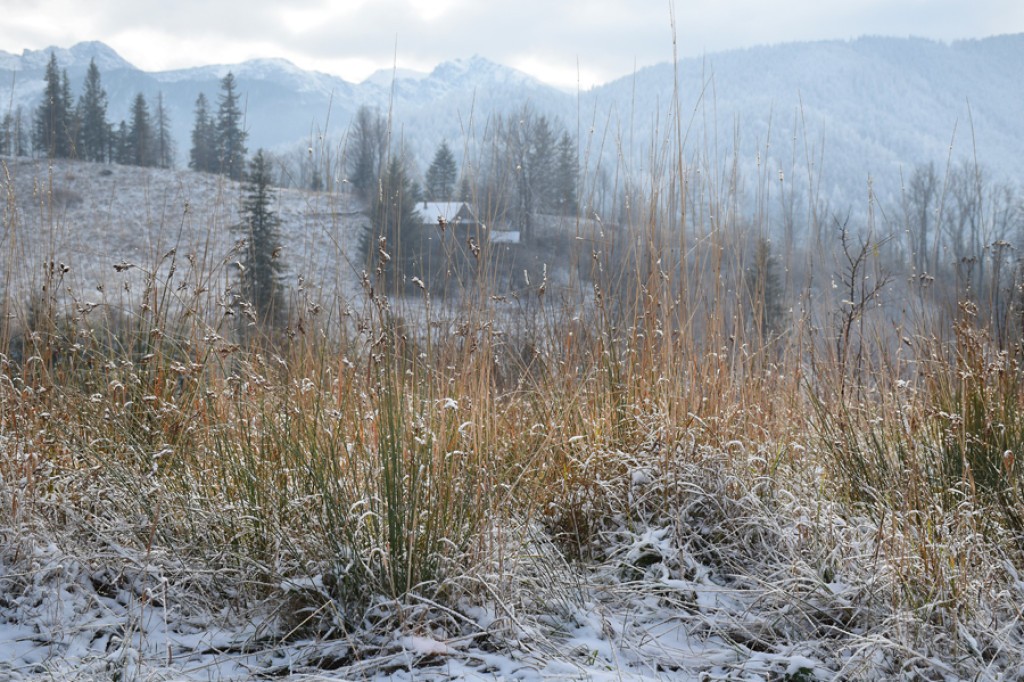 Tatry wyłaniały się z chmur