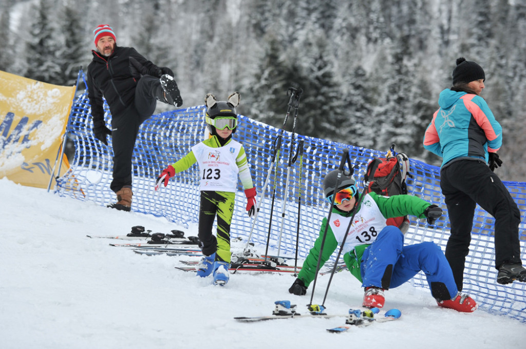 Koziołki na start