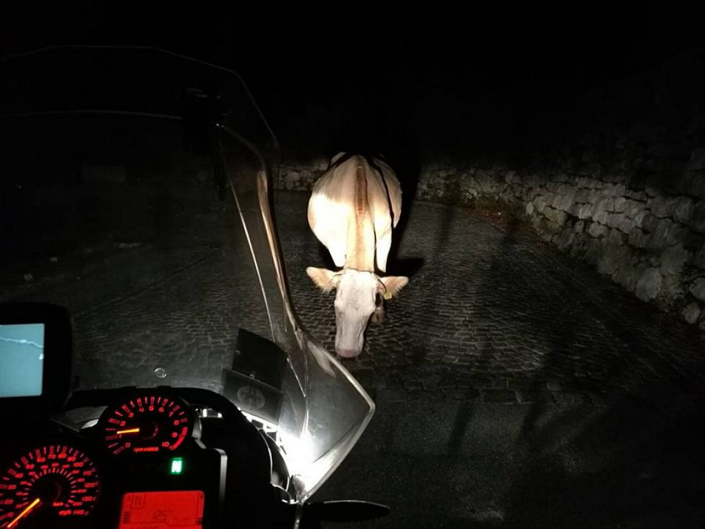 Motocykl uczy wolności