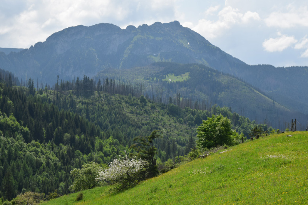 Na Czerwonych Wierchach