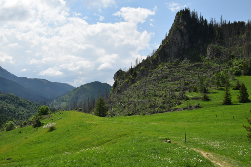 Na Czerwonych Wierchach