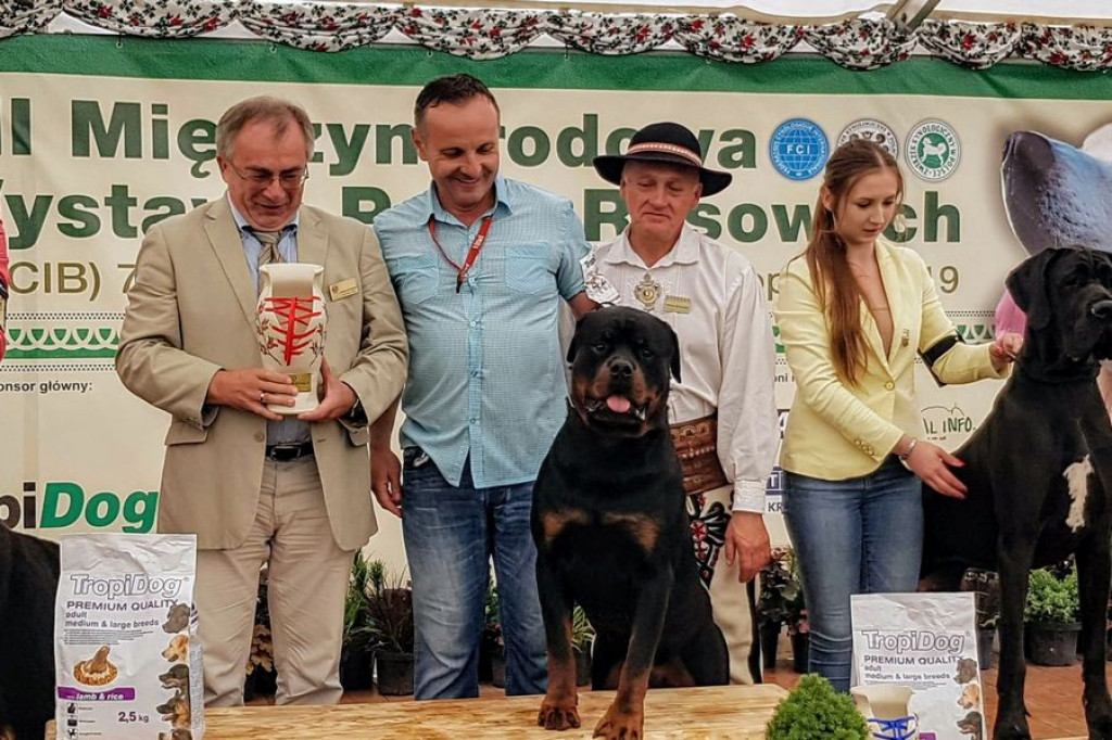 Czworonogi na konkursie piękności
