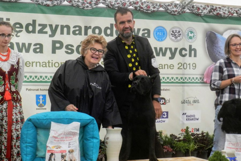 Czworonogi na konkursie piękności