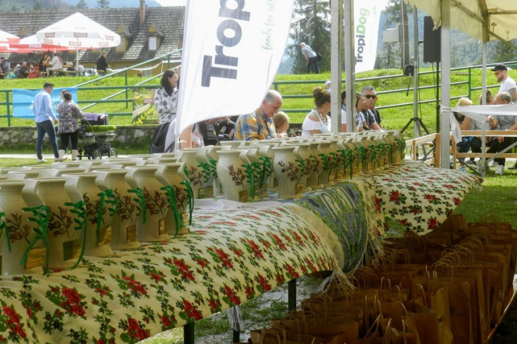Czworonogi na konkursie piękności