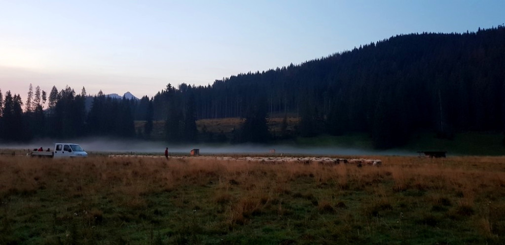 Starorobociański Wierch - czysta tatrzańska przyjemność
