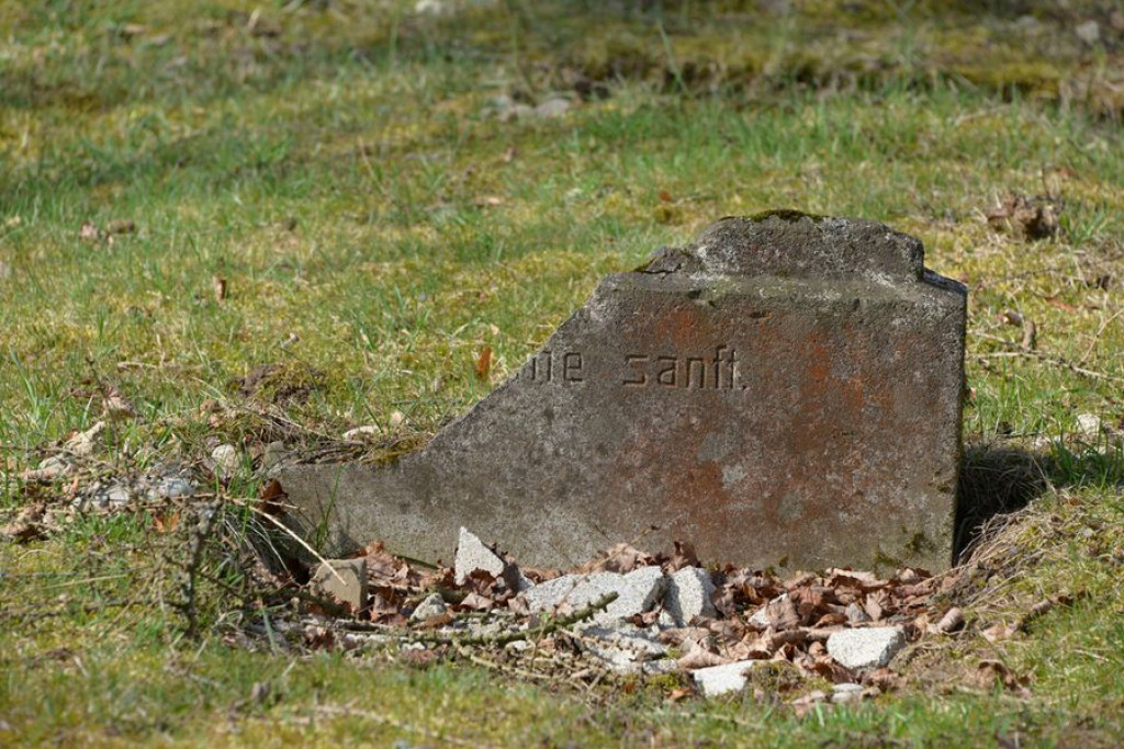 Odnowiony cmentarz żydowski
