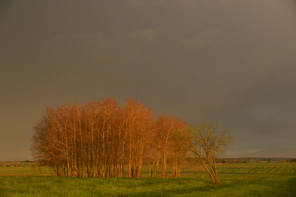 To był piękny poranek na Podhalu