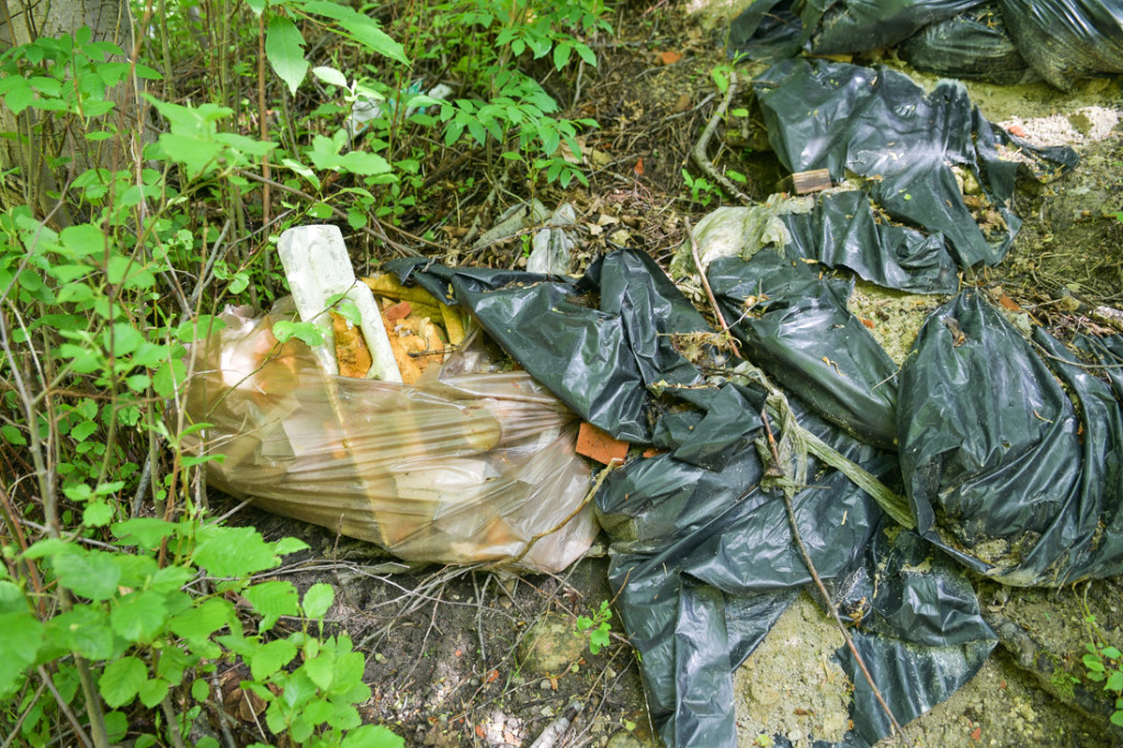Wielkie sprzątanie Potoku Zakopianka
