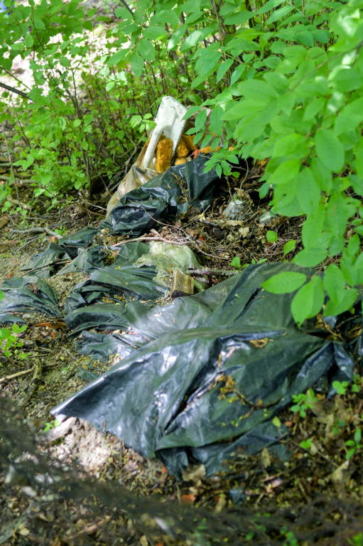 Wielkie sprzątanie Potoku Zakopianka
