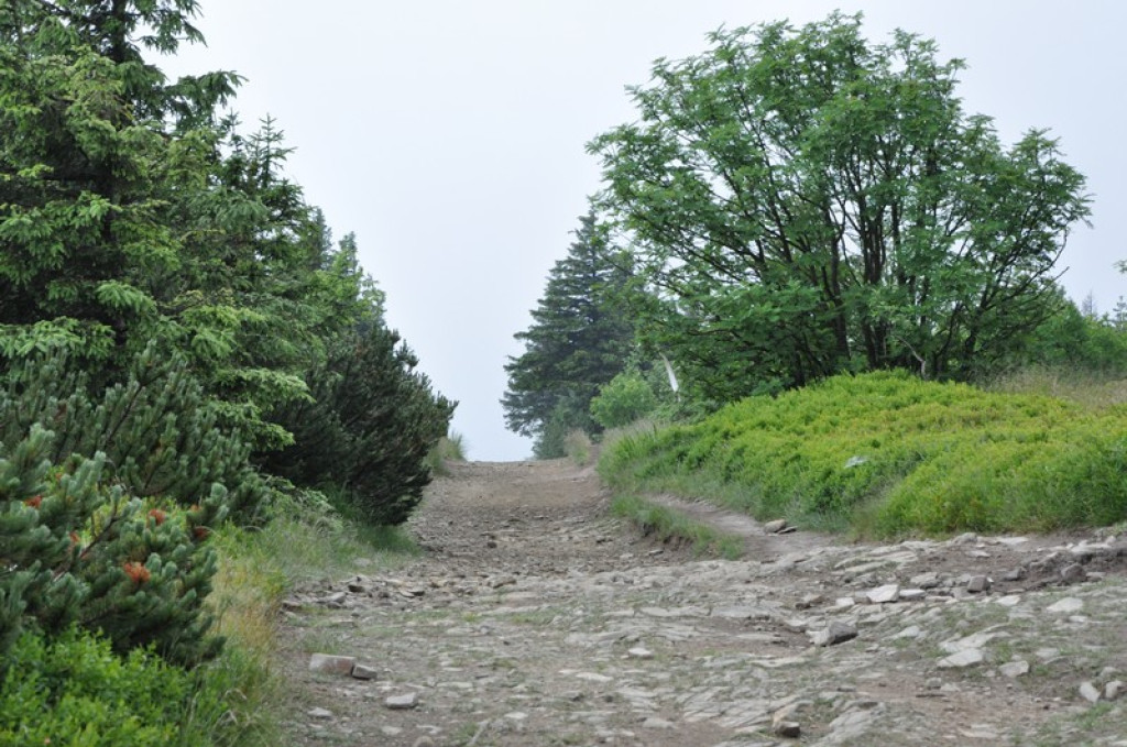 Spod Tatr w Beskid Śląski