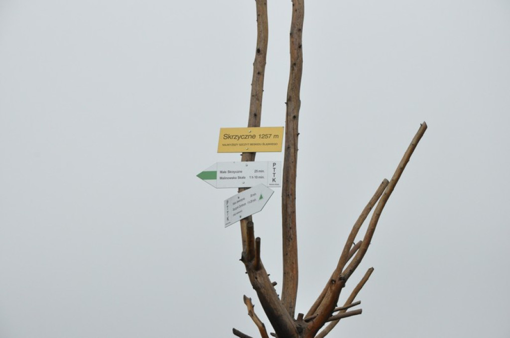 Spod Tatr w Beskid Śląski