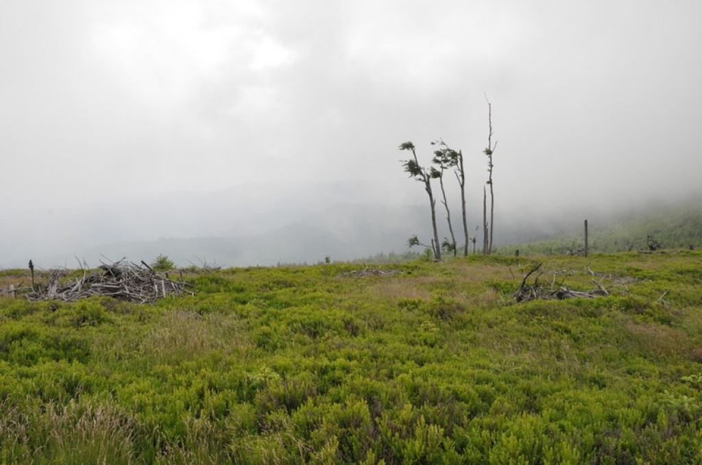 Spod Tatr w Beskid Śląski