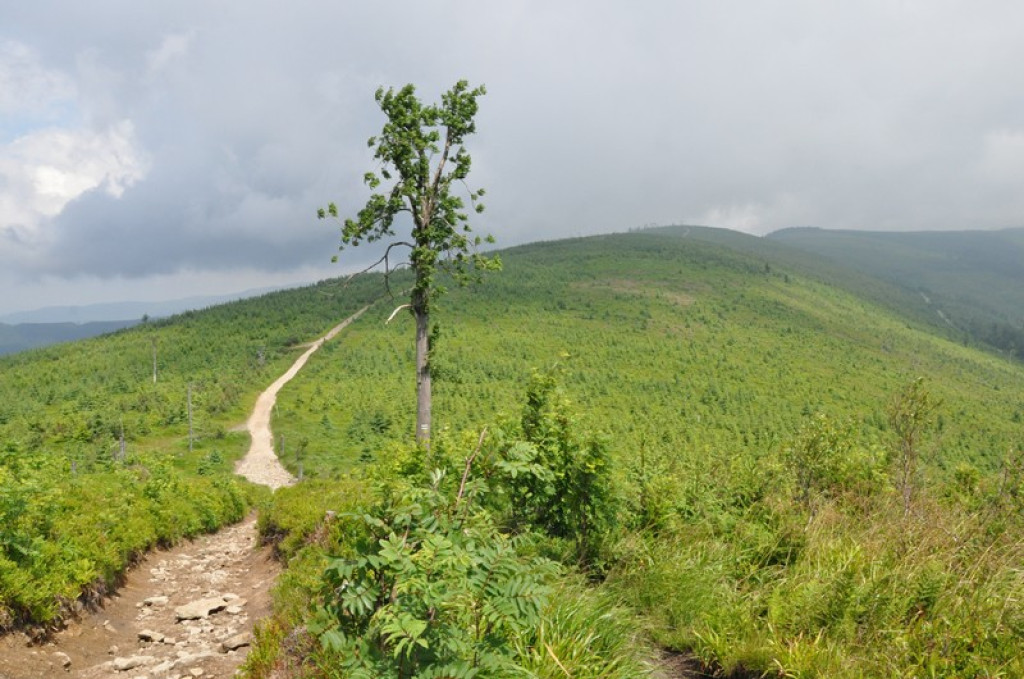 Spod Tatr w Beskid Śląski