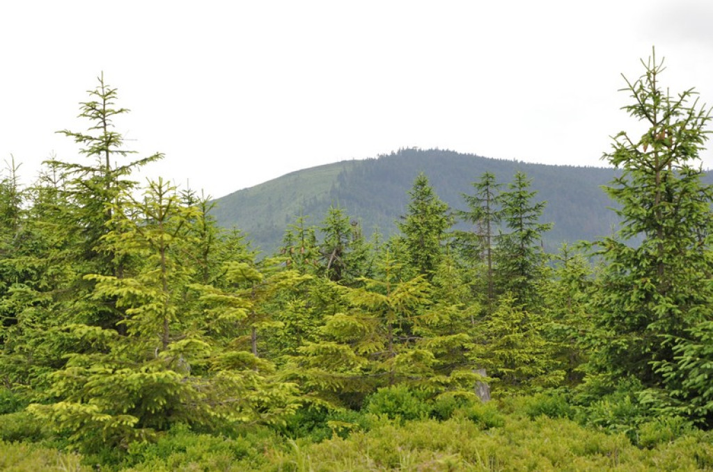 Spod Tatr w Beskid Śląski