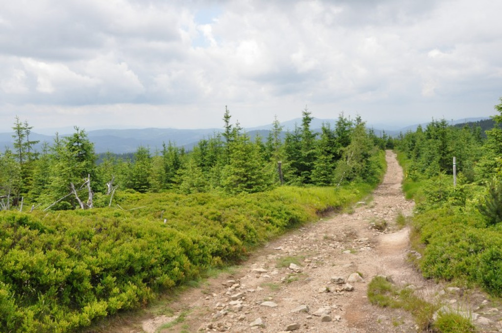 Spod Tatr w Beskid Śląski