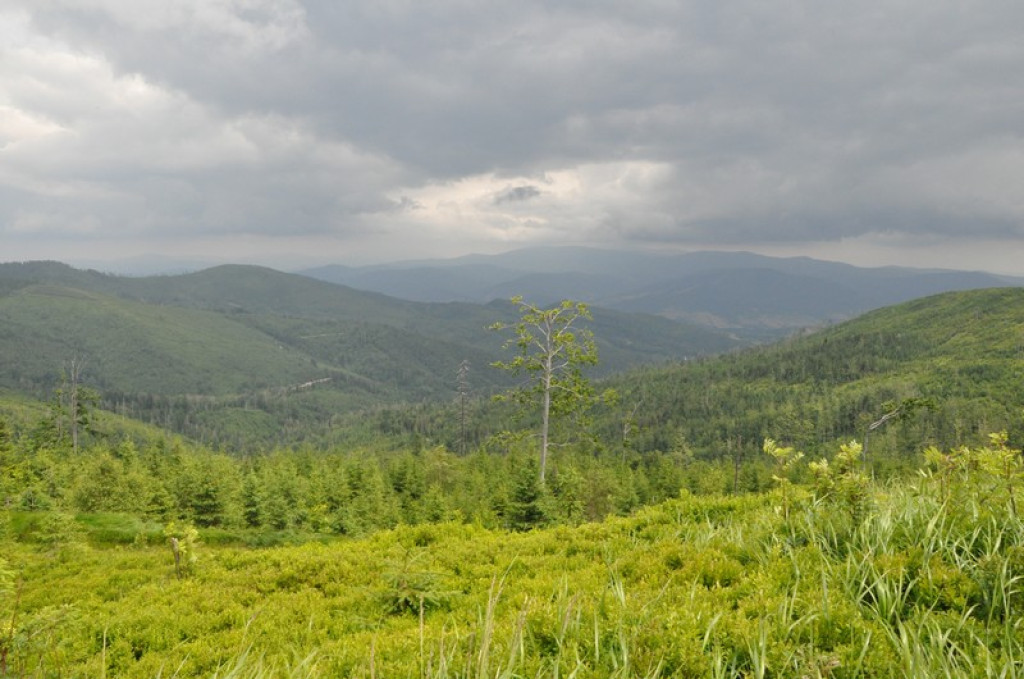 Spod Tatr w Beskid Śląski