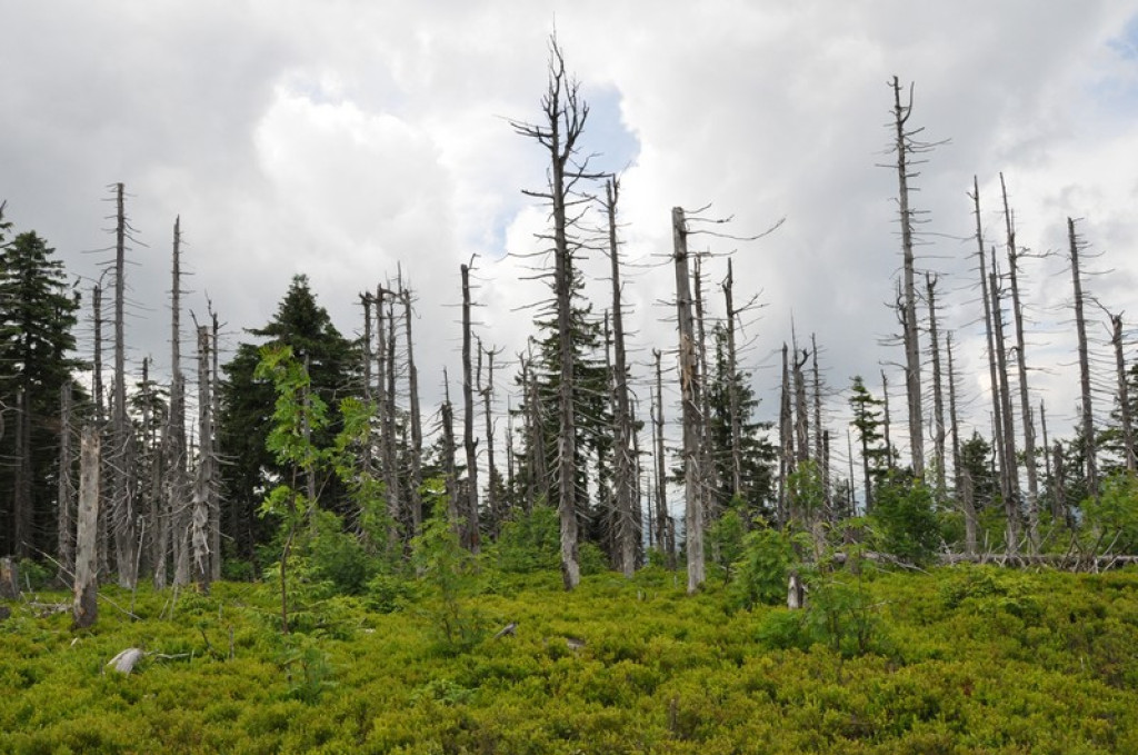 Spod Tatr w Beskid Śląski