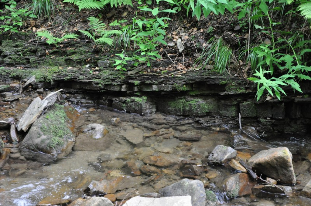 Spod Tatr w Beskid Śląski