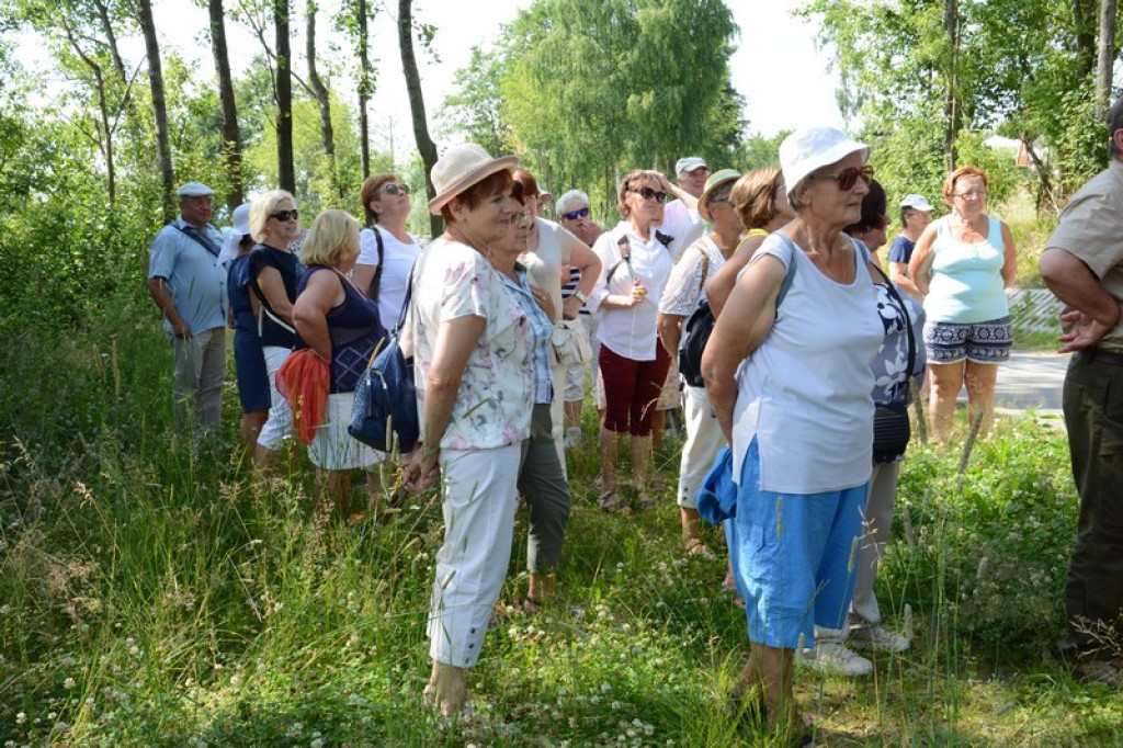 Seniorzy zakończyli rok akademicki
