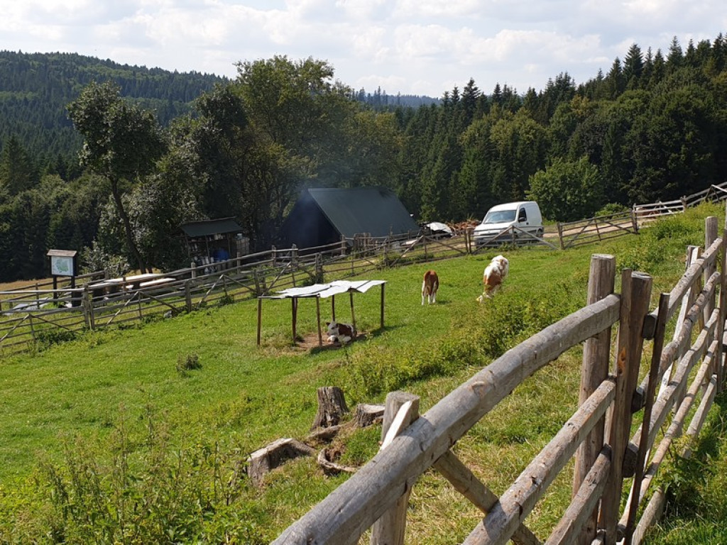 Bacówka z widokiem na Jezioro Orawskie
