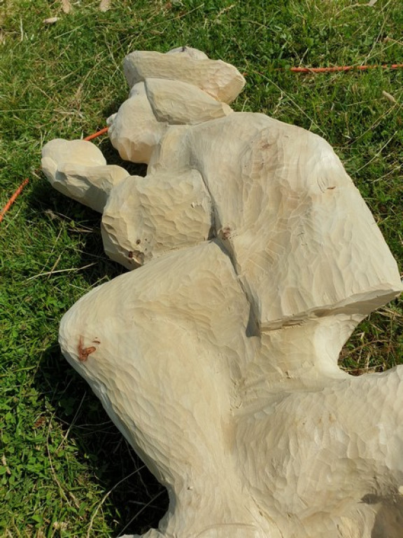 Tak rzeźbili na Marysinej Polanie
